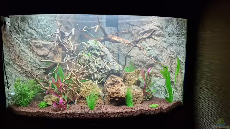 Neueinrichtung Trigon 190 von FlyFunke (1)