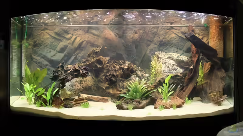 Neueinrichtung von chris und nina (1)