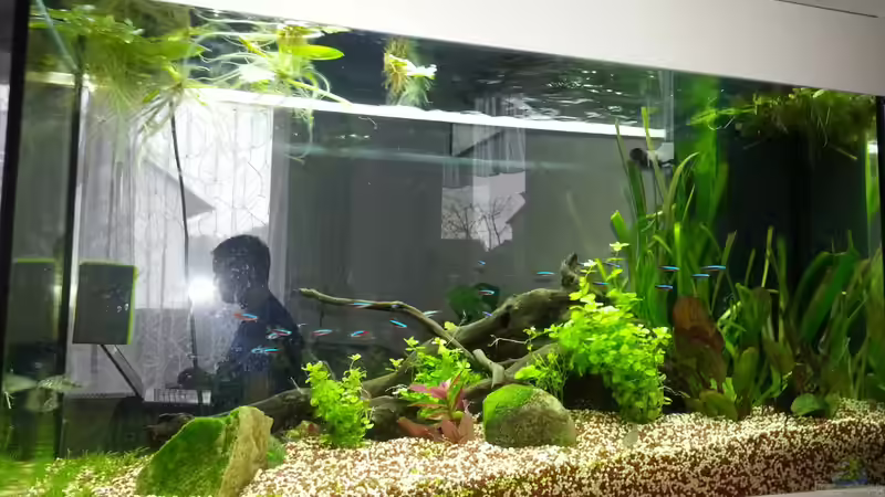 Neueinrichtung von Katharina Müller (5)