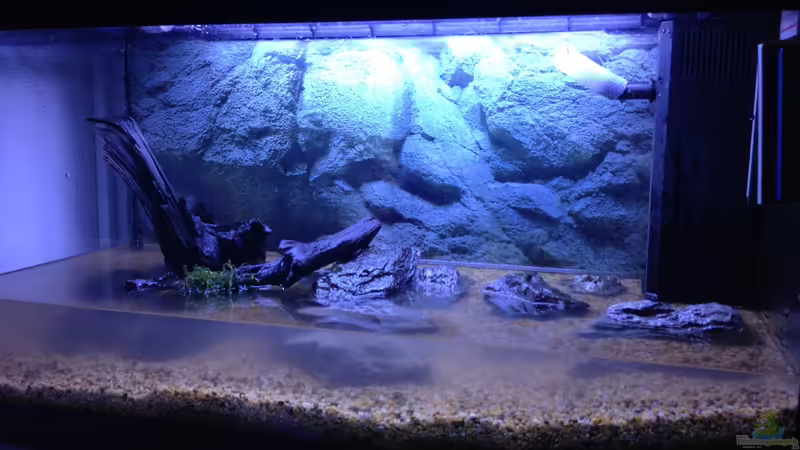 Neueinrichtung von ulli85 (2)