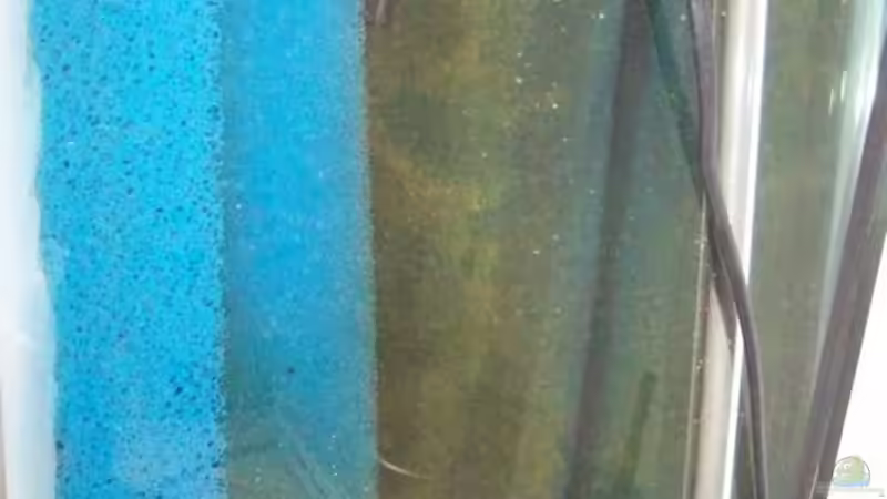 Neuer+ Alter HMF(eingefahren) von Andy Hurm (14)