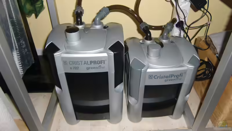 Neuer Aquarienfilter: Das sind die häuftigsten Fehler der Aquarianer beim Kauf