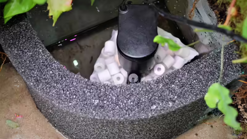 Neuer Aquarienfilter: Das sind die häuftigsten Fehler der Aquarianer beim Kauf