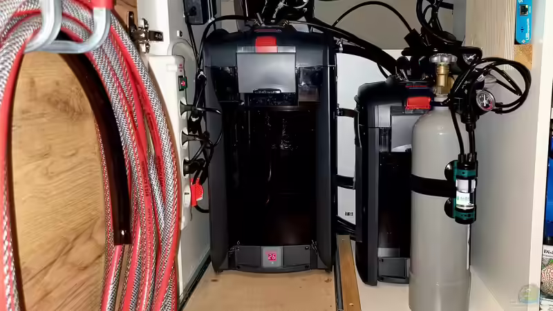 Neuer Aquarienfilter: Das sind die häuftigsten Fehler der Aquarianer beim Kauf