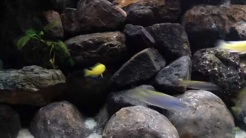 Neuer Aufbau links 10.05.2013 von Der Michel (11)