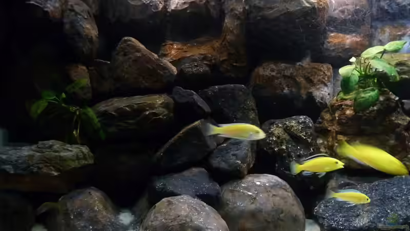 Neuer Aufbau links 10.05.2013 von Der Michel (12)