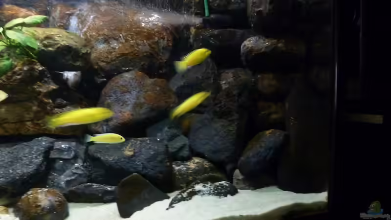 Neuer Aufbau rechts 10.05.2013 von Der Michel (14)