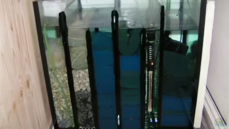 Neuer Filter von Eugen Margulis (6)