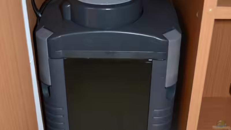 neuer Filter von Steve (16)