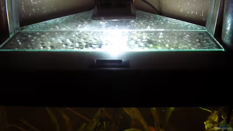 neuer Ledfluter mit prov. Halterung & handmade Abdeckung / 16.07.2013 bearb. von Südamerikafreak BK (57)