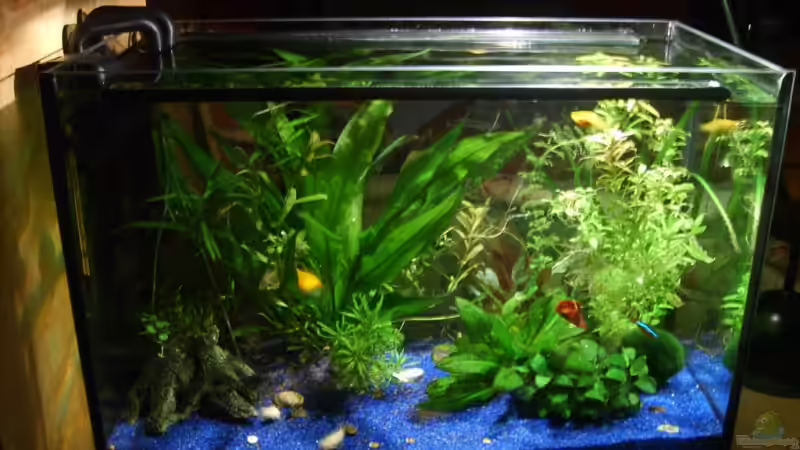 Neuer Platz als  von uschn (4)