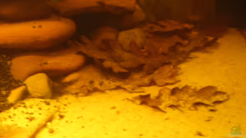 Neuer Sandkasten (25.08.2012) von Südamerikafreak BK (4)