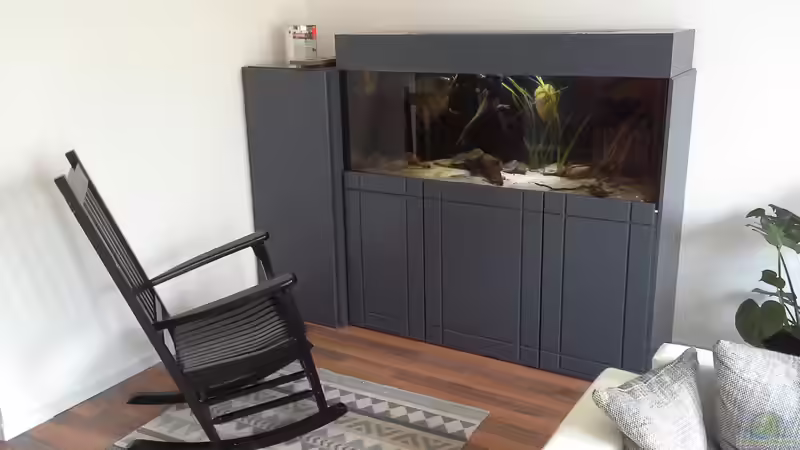 neuer standort und neue lackierung von Dominik Wexenberger (11)