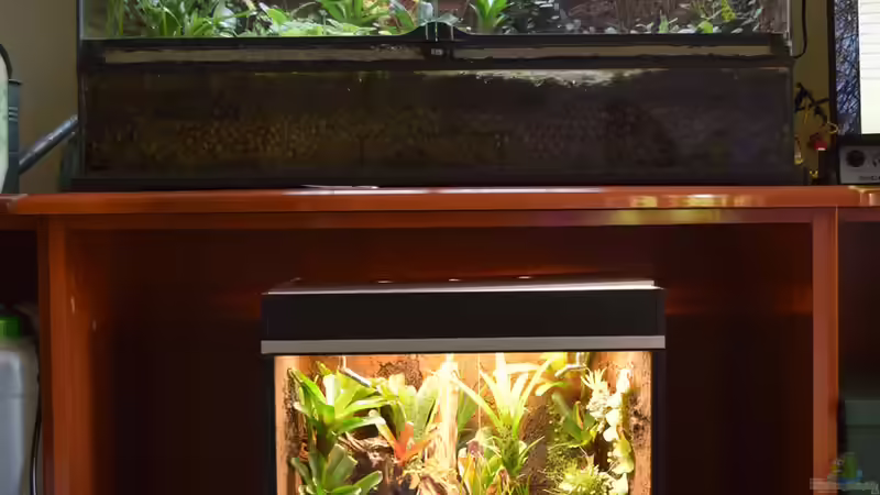 Neuer Standort von Junglist (29)