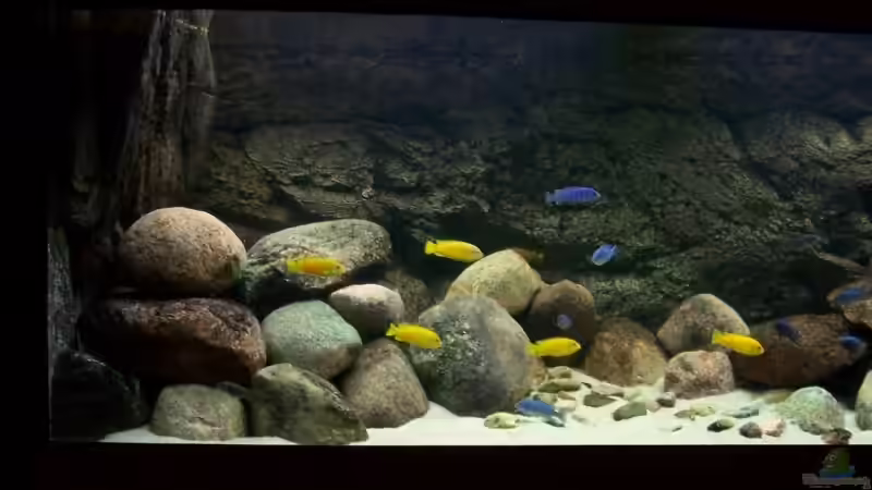 neuer Steinaufbau links. von Rene Sarink (14)