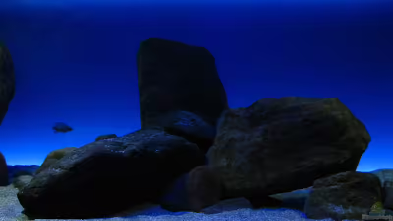 Neuer Steinaufbau Mitte Becken Nov. 2012 von Oeli (32)