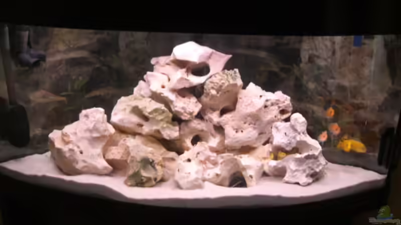 neuer Steinaufbau von Jan Dreier (2)