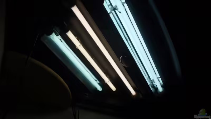 neuer T5 Leuchtbalken von unten von ~Marco~ (41)