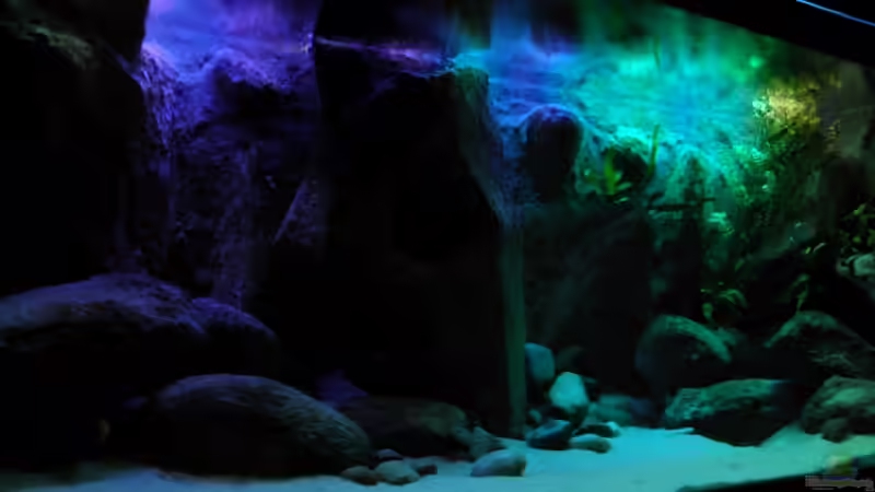 neuer Versuch von Franek (23)