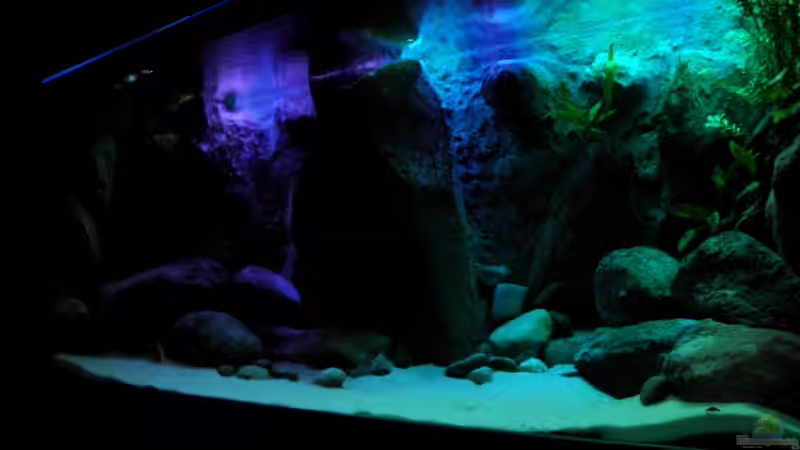 neuer Versuch von Franek (24)