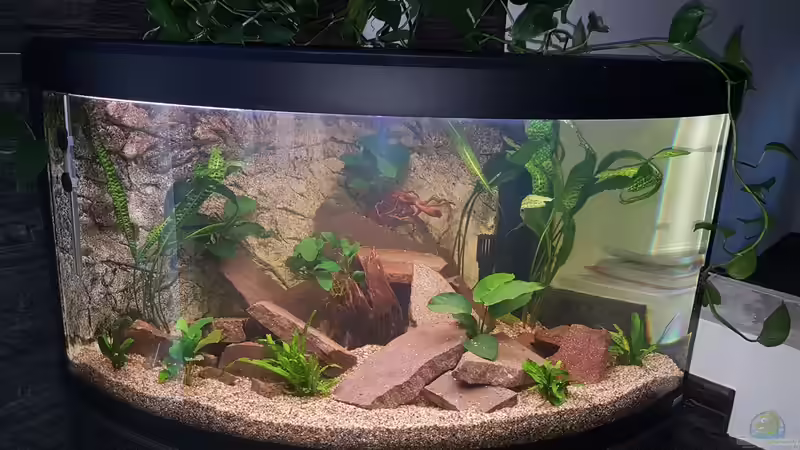 Neuerer Zustand von Marcus Mischer (3)