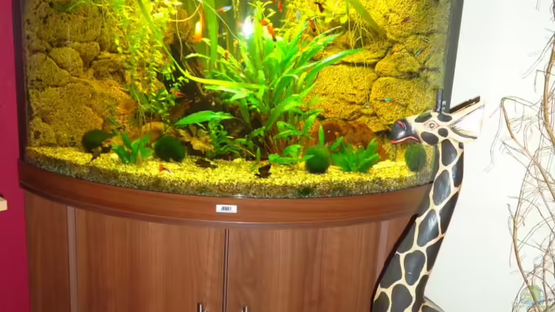 neueres Beckenfoto von manala (4)