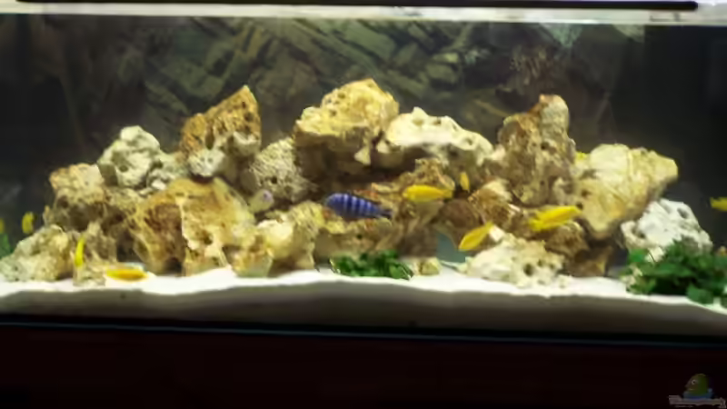 neues 300l Becken  von babyschlumpf (4)