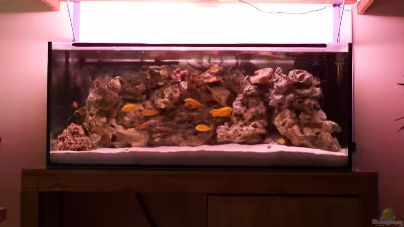 neues 300l Becken von babyschlumpf (1)