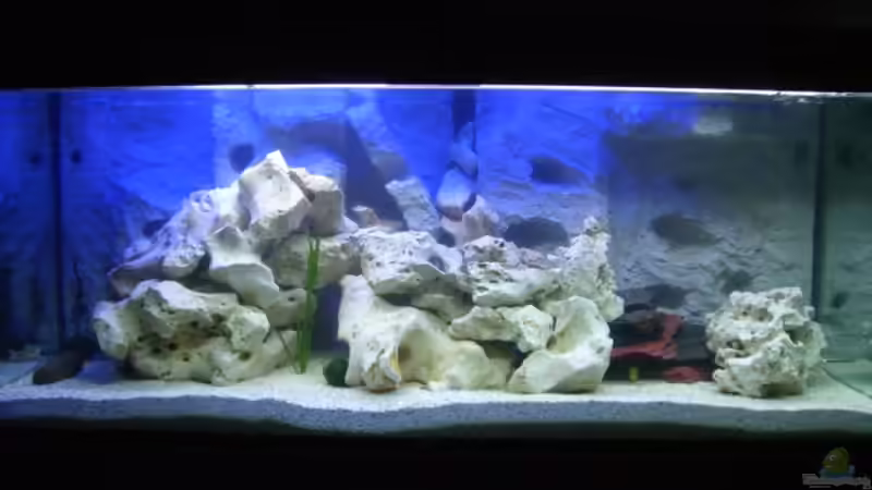 Neues 540 Liter Becken mit Schreiner Unterschrank