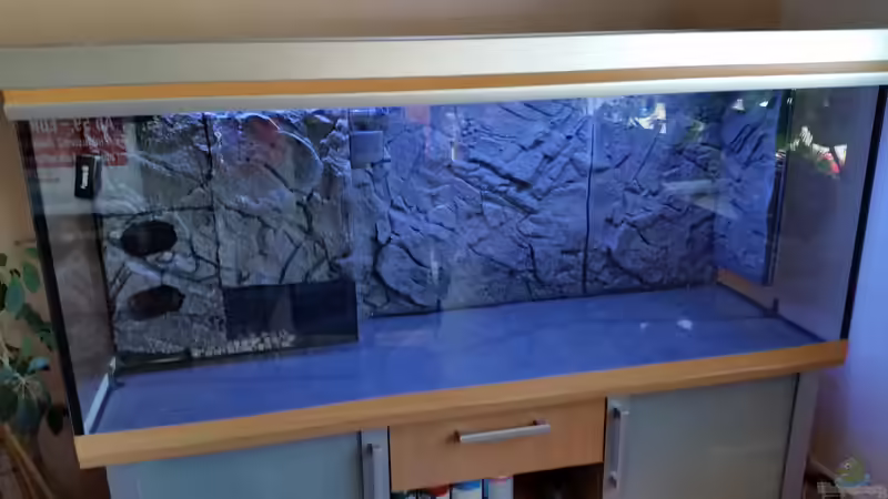 neues Aquarium von Christian Osterloh (2)