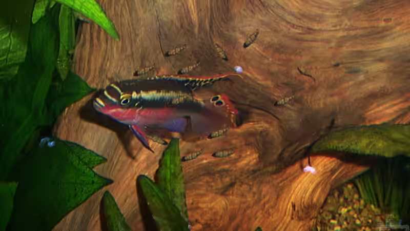 neues aus der Kinderstube von Udo Siebensohn (14)