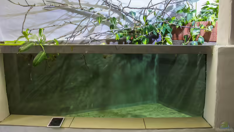 Neues Becken 5000 Liter von Leopold68 (35)