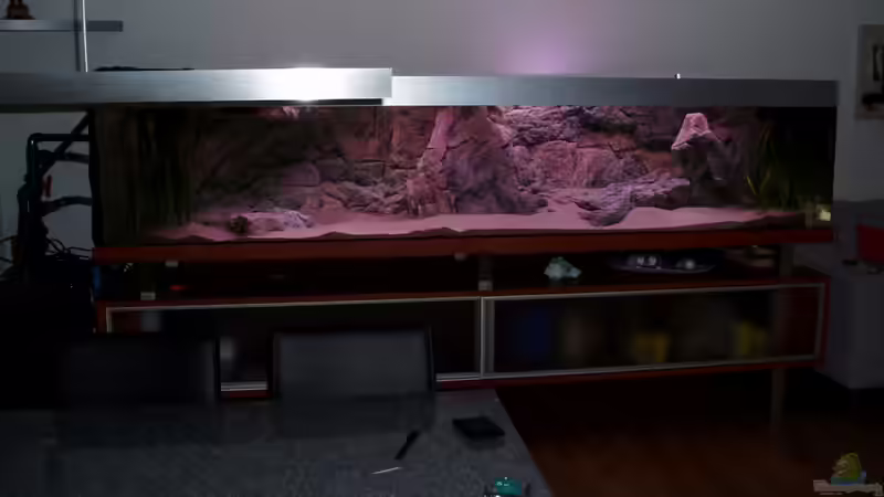 Neues Becken (alte Einrichtung) kommt 22-05-2010 von Albert (1)