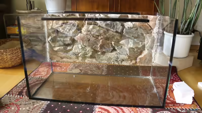 neues Becken mit alter Rückwand von Cruiser Bruno (6)