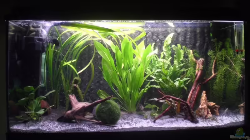 Neues Becken Süd Amerika von smapo (1)