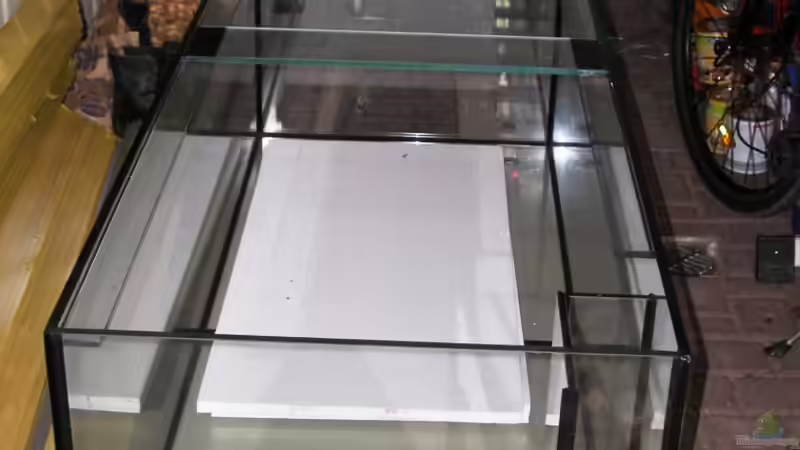 Neues Becken von bossie1704 (2)