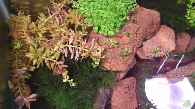 neues becken von oben von Timo Wünsche (19)