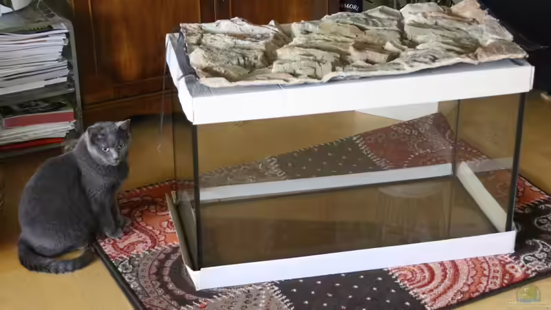 neues Becken wird begutachtet von Cruiser Bruno (4)