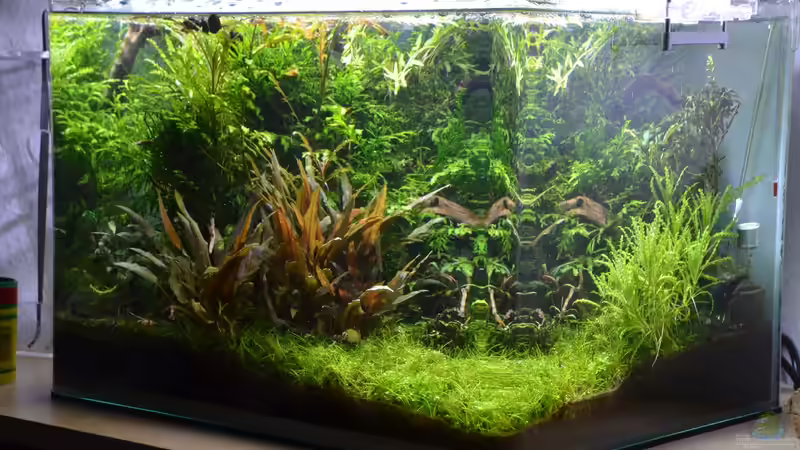 Neues Beckenbild Stand: 29.09.2016  von Gallius (2)