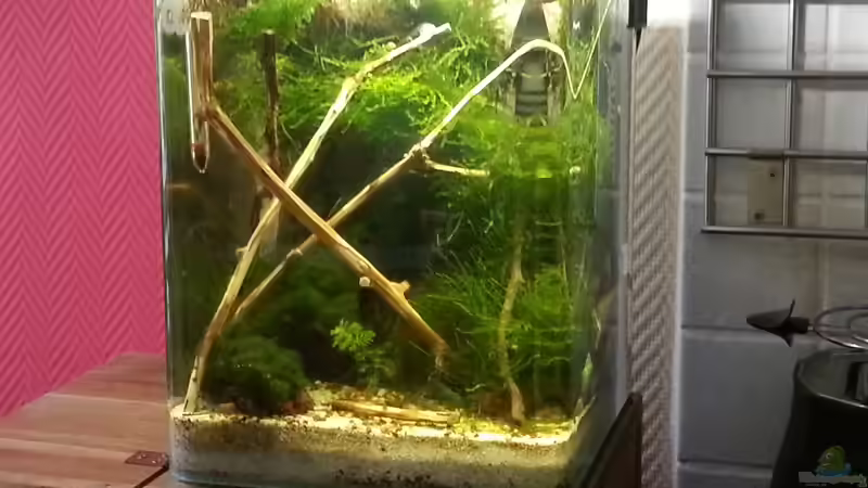 Neues Bild 04.05.2014 von Zomic (11)