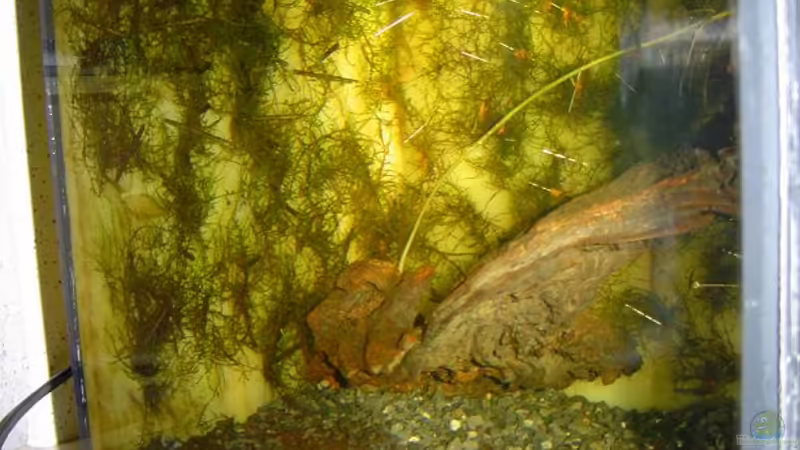 neues Bild der Seitenwand (20. November)