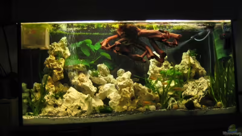 Neues Bild mit abgeändertem Licht 28.10.10 von Sky1706 (7)