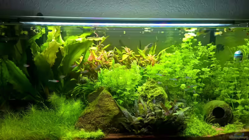 Neues Bild vom 23.03.16 von DerWiesbadener (1)