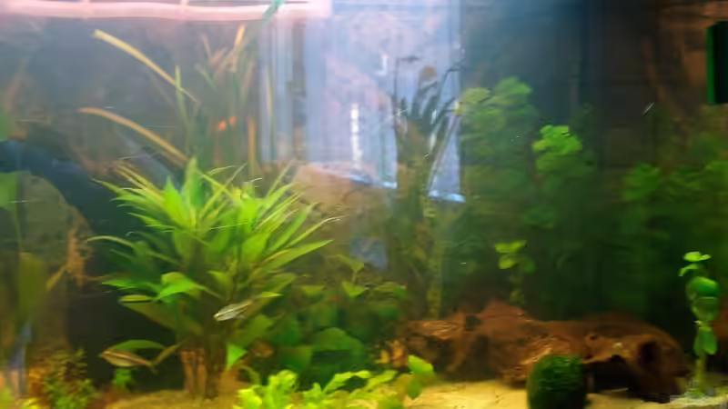 Neues Bild von mutzel (9)