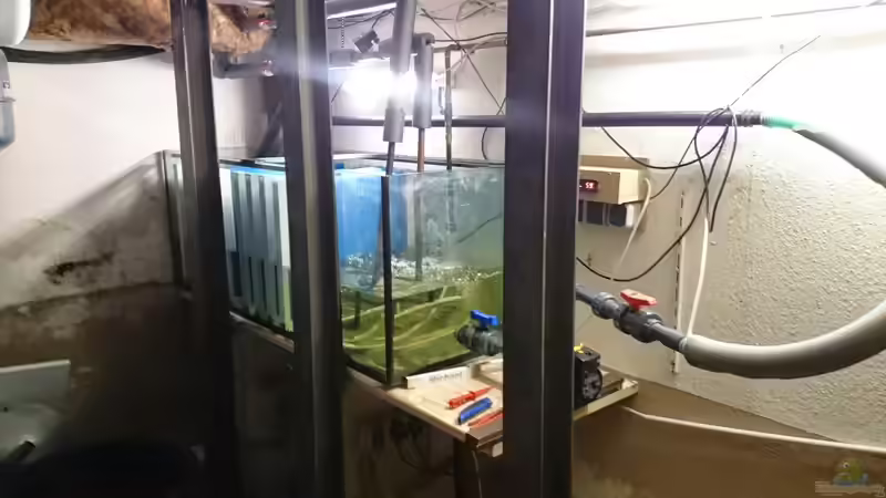 neues Filterbecken im Rohbau von kellerkind (21)