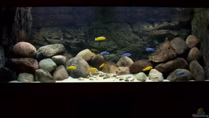 neues Foto mit 35kg mehr Steine. von Rene Sarink (4)