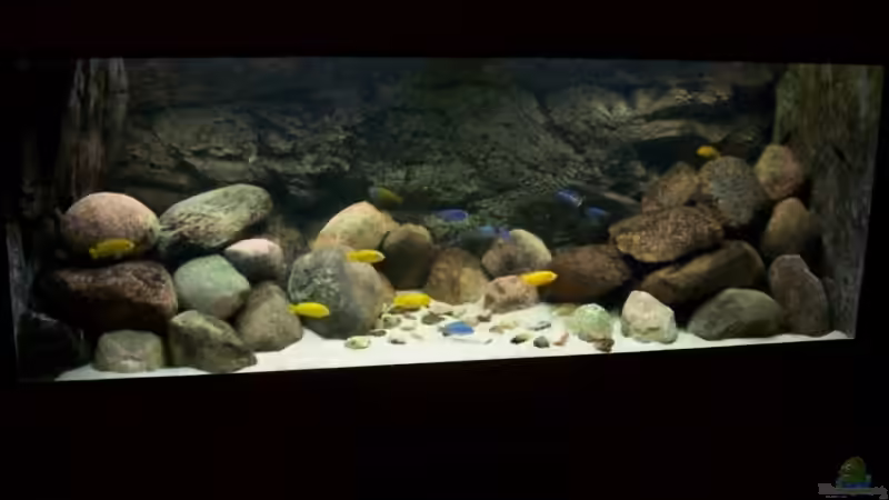 neues Foto mit 35kg mehr Steine. von Rene Sarink (5)