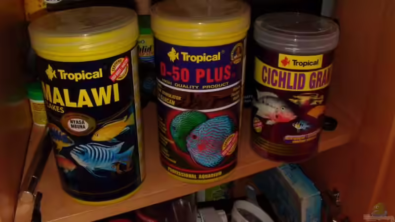 Neues Futter von Frank Hopp (55)