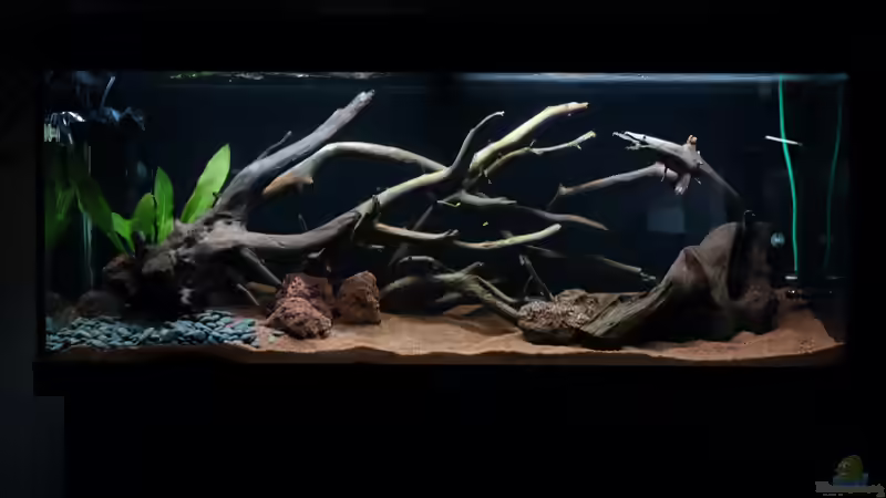 Neues Hardscape Stand 07.03.18 von Atacama (11)