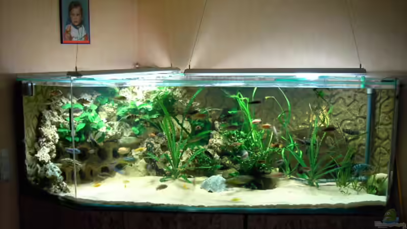 Neues Haubtbild Neues Haubtbild